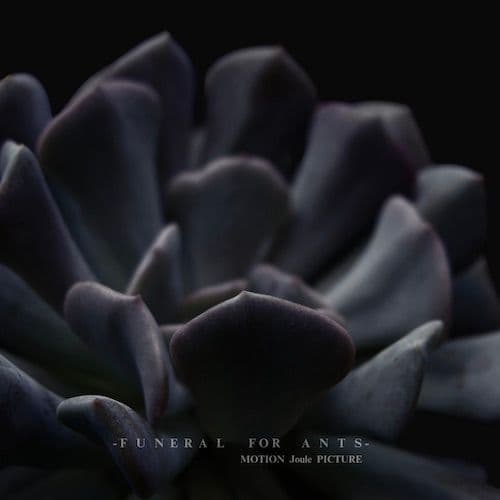 pochette de l'album Motion Joule Picture